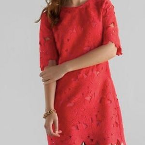 Francescas La Carolina Red/Pink Lace Dress L